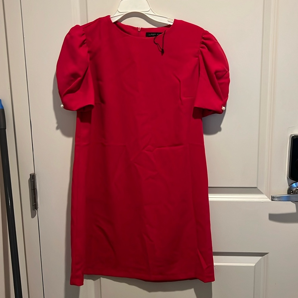 Zara Pink Shift Dress